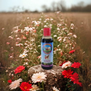 Pain Relief Oil (Fast Relief for Joint & Muscle Pain). 100ML